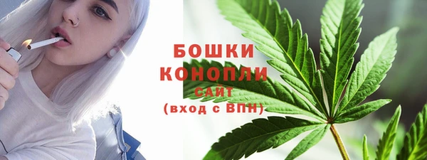 твердый Медногорск