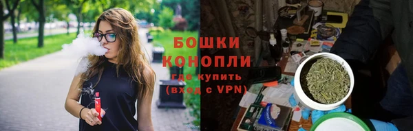 молекула духа Медвежьегорск