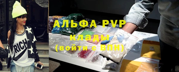 молекула духа Медвежьегорск
